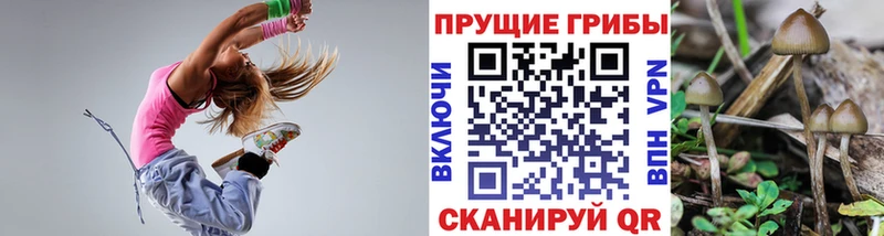 Галлюциногенные грибы Magic Shrooms  Чебоксары 