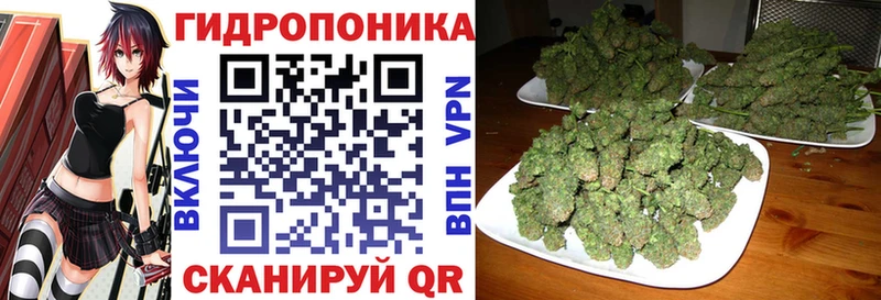 Бошки Шишки семена  ссылка на мегу вход  Чебоксары 
